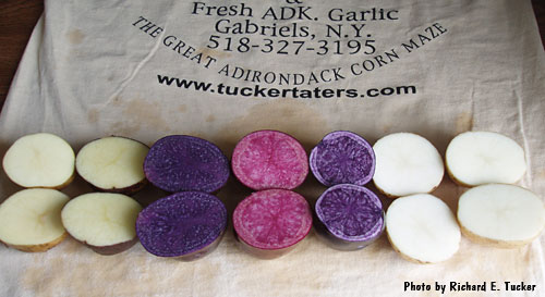 Speciality Varieties