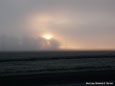 A Foggy Sunrise